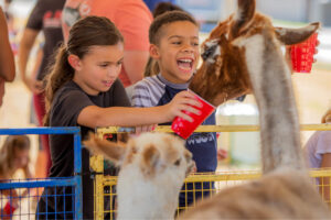 DFW Camp Expo-Cathys Critters