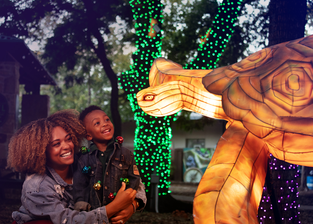 A woman and child stand beside a turtle, enjoying a family-friendly evening activity in Dallas.