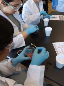 Dallas International School- DFW Camp Expo