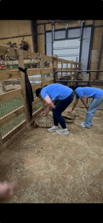 Petting the turtles